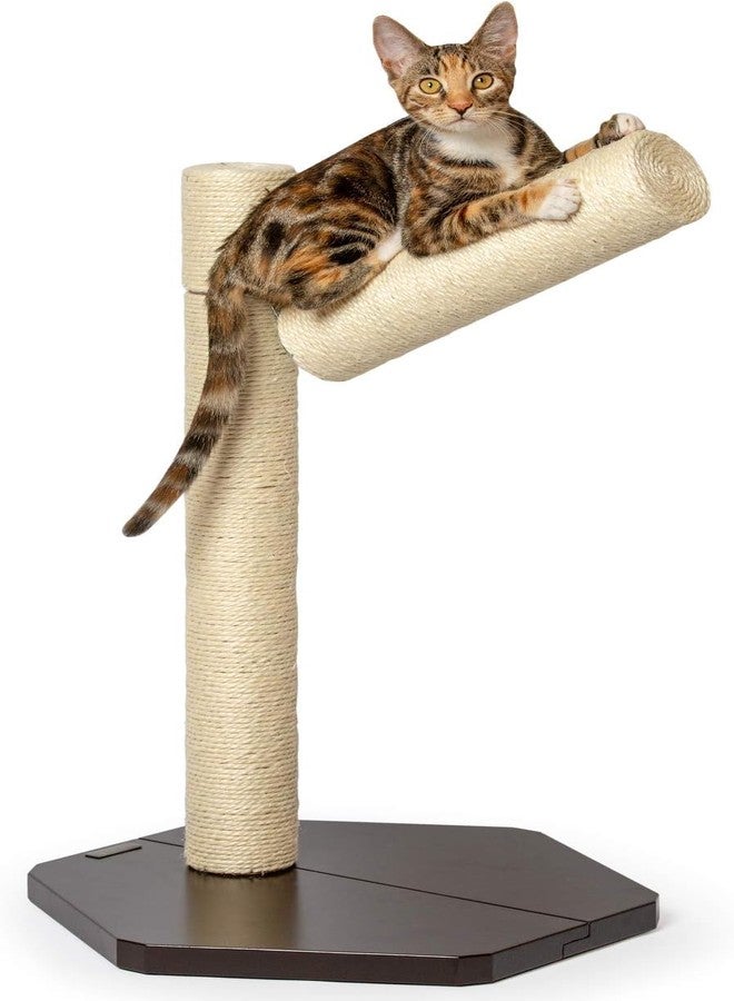 PetFusion Ultimate Cat Window Climbing Perch Replacement Post (1 of 3) for Cat Window Perch - Image 4
